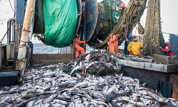 Protecting North Sea Fisheries: EU Formulates First Comprehensive Plan ...